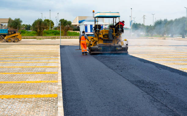 Best Driveway Grading and Leveling  in Carrizo Hill, TX